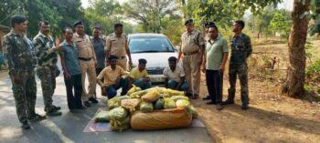 msmd-ganja-1-696x313-1-scaled