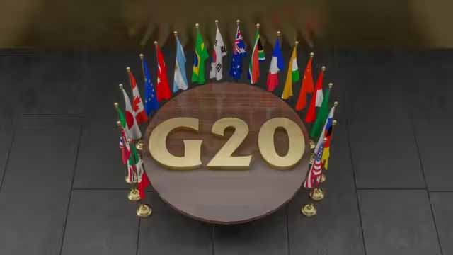 G - 20