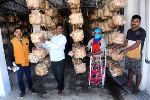 रीपा से आत्मनिर्भर बनने की शुरू हुई कवायद 2 ripa