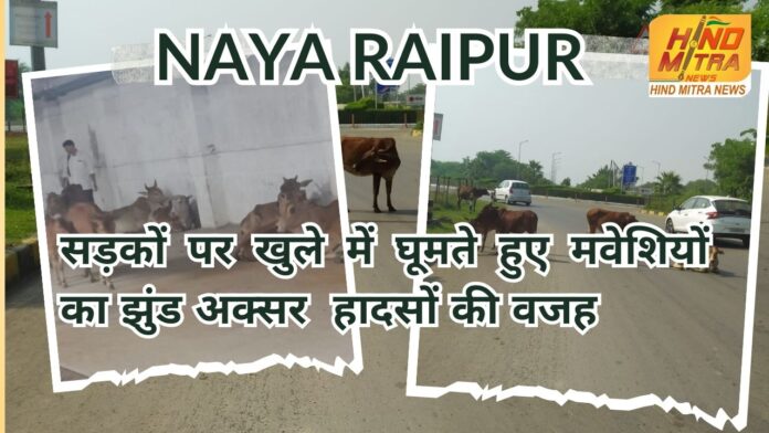 नया रायपुर