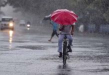 तमिल के 12 जिलों में रविवार को भारी बारिश का अनुमान heavy rain