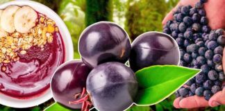 Super food : What Actually Is Acai And What Does It Taste Like? Super food