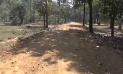 Naxalgarh Bijapur : नक्सलगढ़ बीजापुर में PMGSY की सड़क भ्रष्टाचारियों का बना निवाला...सड़क को खोज लाने की हुई शिकायत 