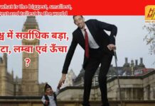 Big Current Affairs : विश्व में सर्वाधिक बड़ा, छोटा, लम्बा एवं ऊँचा जानें क्या है Big Current Affairs
