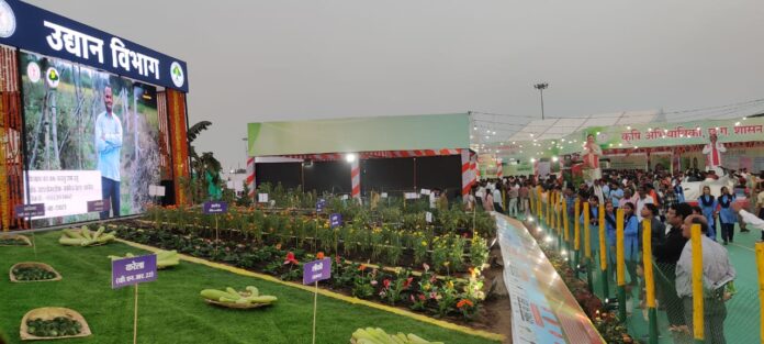 Open Garden