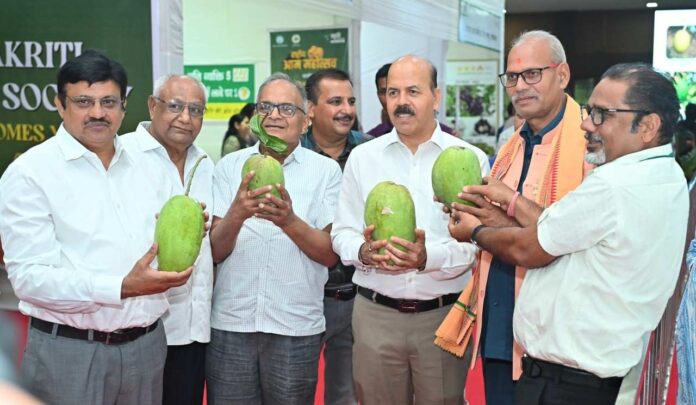 Mango Fest: