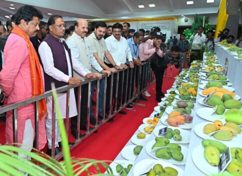 Mango Festival