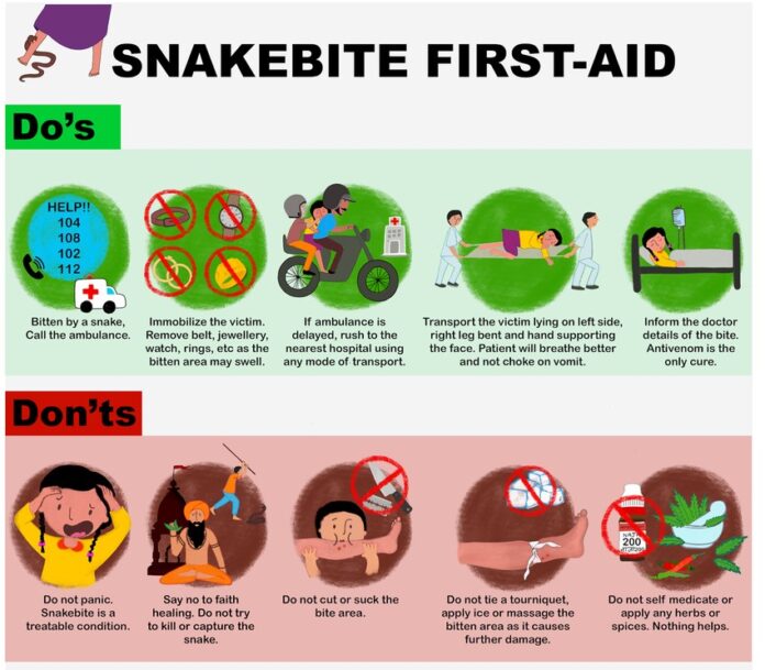 Snake Bite Precautions