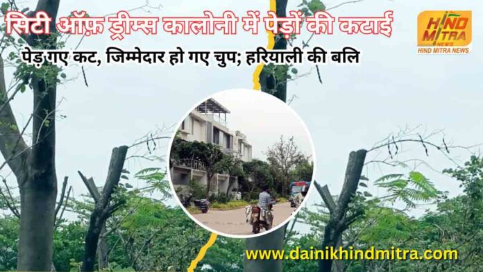 Tree in name of mother now