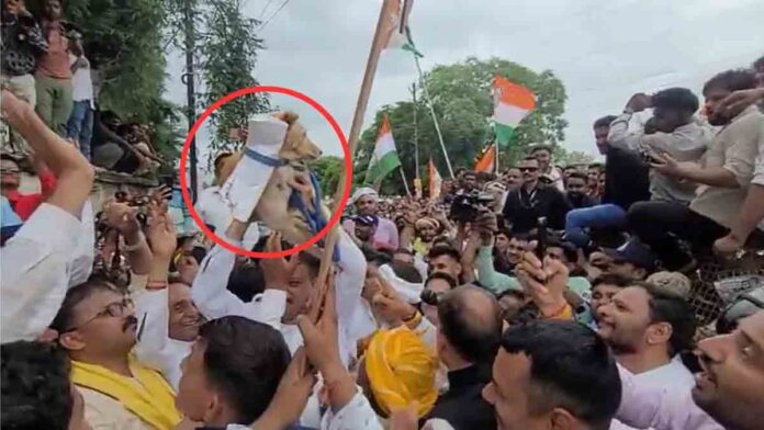 MP congress unique protest dog memorandum