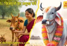 पोला : किसानों का प्रमुख पर्व; धार्मिक, सामाजिक और प्राकृतिक मूल्यों पर आधारित पर्व pola festival kisan dharmic prakritik parv now