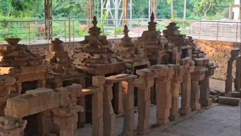 madku dweep heritage : प्राचीन धरोहर के अस्तित्व पर संकट - पुरातत्व और वन विभाग की अनदेखी से मदकू द्वीप की पहचान खतरे में