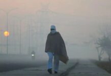 देश के इन राज्यों में शीतलहर की चेतावनी, 10 राज्यों में पड़ सकता है कोहरा Cold Wave Alert