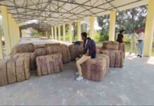 गौरेला पेंड्रा मरवाही : धान खरीदी के पहले दिन दो केंद्रों में आठ किसानों ने बेचा 506.80 क्विंटल धान Gaurela Pendra Marwahi