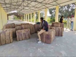 गौरेला पेंड्रा मरवाही : धान खरीदी के पहले दिन दो केंद्रों में आठ किसानों ने बेचा 506.80 क्विंटल धान Gaurela Pendra Marwahi