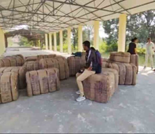 गौरेला पेंड्रा मरवाही : धान खरीदी के पहले दिन दो केंद्रों में आठ किसानों ने बेचा 506.80 क्विंटल धान Gaurela Pendra Marwahi