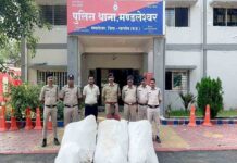 मध्यप्रदेश पुलिस की नशे के विरुद्ध सख्त कार्यवाही; अवैध गांजा खेती से लेकर कफ सिरप तस्करी पर प्रहार MP Police strict action
