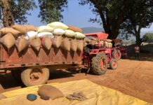 उपार्जन केंद्रों में प्रदेशभर में धान खरीदी सुचारू रूप से जारी Dhan Kharidi