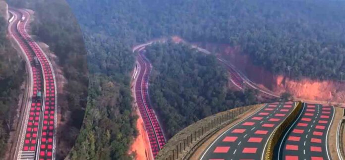 unique wildlife friendly highway