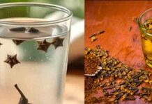 रात में सोने से पहले जरूर पिएं लौंग का पानी, गहरी नींद लाने में करेगा मदद laung paanee
