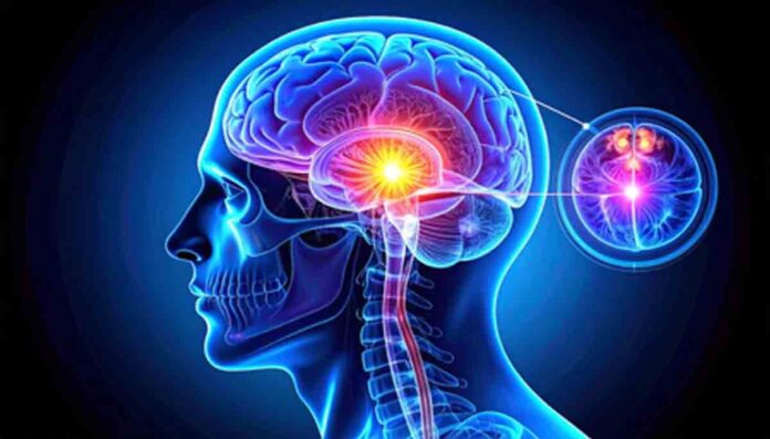 matar daane jitanee matar daane jitanee