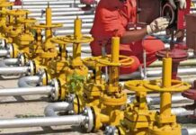 6,000 पीएनजी ग्राहकों ने छोड़ा एलपीजी कनेक्शन, उपलब्धता में होगा सुधार 6000 png consumers