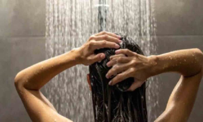 vata pitta kapha vata pitta kapha