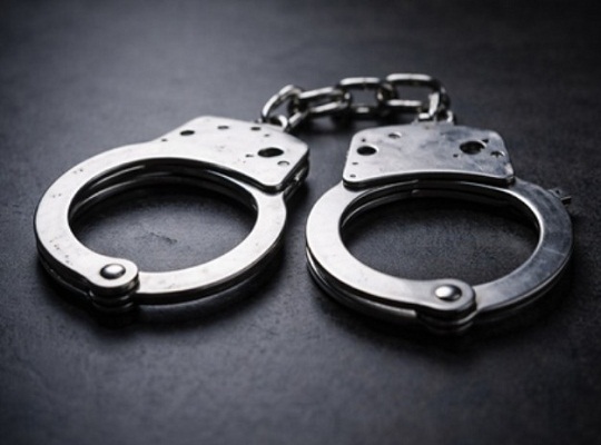 Big Action by Himanchal Police Big Action by Himanchal Police