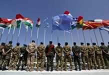 लेबनान में फ्रांसीसी यूएन शांति सैनिकों पर हमले की भारत ने कड़ी निंदा की India condemns attack on French UN peacekeepers