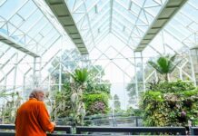 पीएम मोदी ने शेयर की सिक्किम राज्योत्सव की झलकियां, बोले- उत्साह ने मन मोह लिया PM Modi shared glimpses of Sikkim