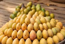 बाजार में मिलने वाला आम स्वास्थ्य के लिए खतरनाक तो नहीं, ऐसे करें आसानी से पहचान bazar mein milne wala aam