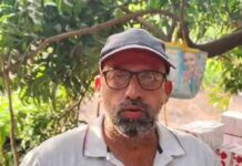 बेमौसम बारिश और ओलावृष्टि से आम की फसलों में नुकसान, किसानों ने सरकार से मांगी सहायता bemausam barish