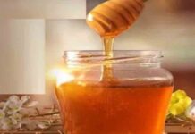 गर्मियों में शहद का सेवन हानिकारक या लाभदायक, जानें क्या कहता है आयुर्वेद garmiyon shahad