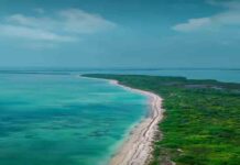 गर्मी में बना रहे हैं घूमने का प्लान, रामेश्वरम का कुरुसादई द्वीप देगा सुकून भरा अनुभव garmi mein rameshwaram