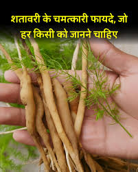 Medicinal Wealth hidden in forests of Chhattisgarh