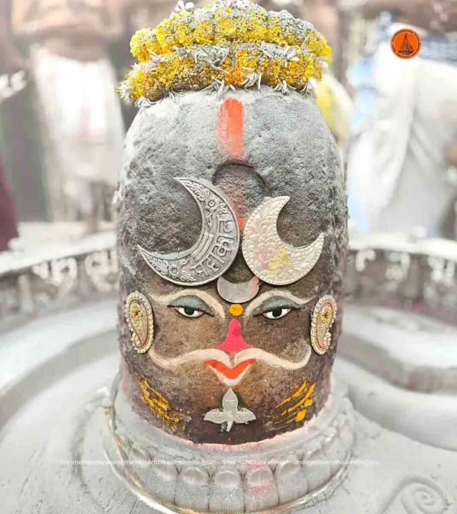 jyeshtha shukla dwitiya : ज्येष्ठ शुक्ल द्वितीया पर बाबा का दिव्य शृंगार, भस्म आरती में उमड़ा आस्था का सैलाब