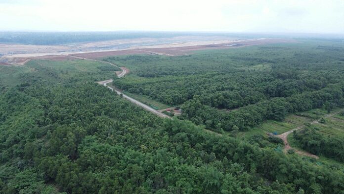 Adani Group Planted 16 Lakh Trees at Sarguja Adani Group Planted 16 Lakh Trees at Sarguja