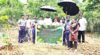 विश्व पर्यावरण दिवस पर श्री श्री यूनिवर्सिटी का हरित संकल्प Environment Day at Shri Shri University