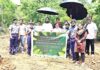 विश्व पर्यावरण दिवस पर श्री श्री यूनिवर्सिटी का हरित संकल्प Environment Day at Shri Shri University