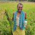 नैनो उर्वरक-छत्तीसगढ़ के खेती-किसानी में आई नई क्रांति Nano-fertilizer in Chhattisgarh's Farming