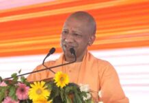 ‘मच्छर की तरह माफिया भी खत्म’, कुशीनगर में बोले मुख्यमंत्री योगी, फाजिलनगर का नाम बदलने का भी ऐलान mafia machcharon