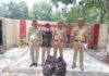 नोएडा तस्करी का बड़ा खुलासा, 4.5 लाख रुपए कीमत का 21 किलो से अधिक गांजा बरामद noida taskari ka bada khulasa