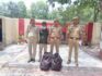 नोएडा तस्करी का बड़ा खुलासा, 4.5 लाख रुपए कीमत का 21 किलो से अधिक गांजा बरामद noida taskari ka bada khulasa