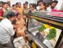 तमिलनाडु के सीएम विजय ने दिवंगत फिल्म निर्माता भाग्यराज के लिए राजकीय सम्मान की घोषणा की vijay