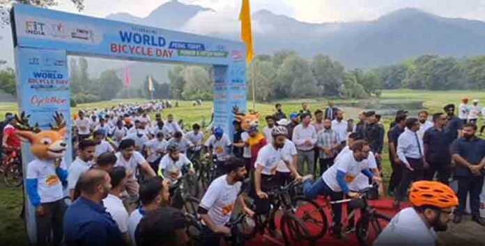 vishva cycle divas