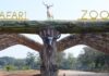 प्रकृति और वन्यजीव संरक्षण का अनूठा संगम है नंदनवन जंगल सफारी Nandanvan Jungle Safari