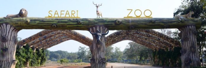 Nandanvan Jungle Safari