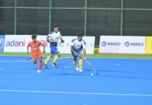 न्यायधानी नाइट्स लगातार तीसरी जीत के साथ सेमीफाइनल के और करीब CHL Nyaaydhani Nights vs Bailadila Bulls